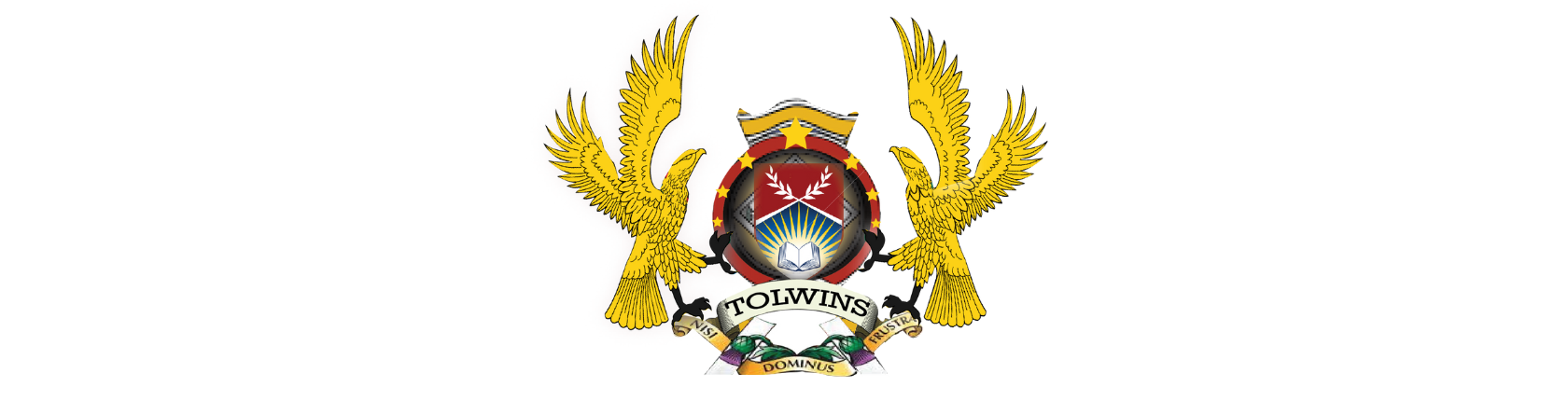 Tolwins Intro